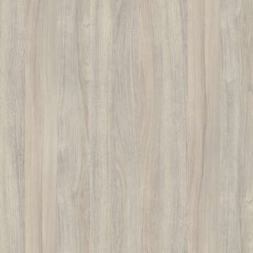 K019 PW Silver Liberty Elm