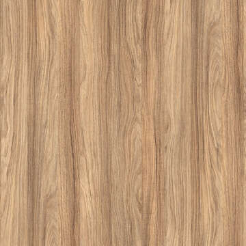 K021 SN Barley Blackwood