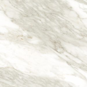 الواح شيب بورد سبلاش باكس