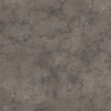 K539 PN Fossil Arosa
