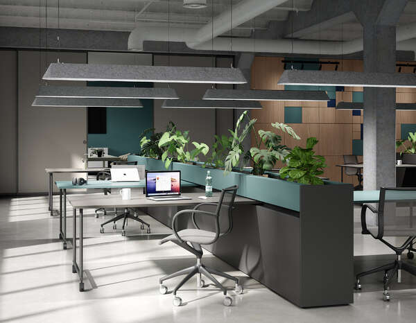 K695 Straw Primavera Oak room 2